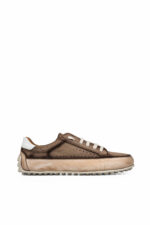 Dasyatis